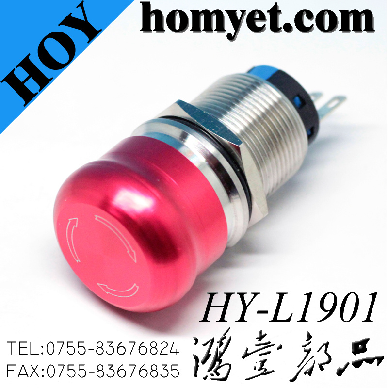 19mm 1no 1nc Flat Self-Locking Metal Push Button Switch (HY-L1901)