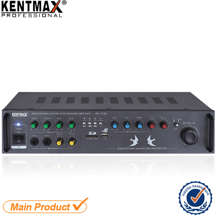 OEM 2 Channel HiFi Professional Audio Amplifier
