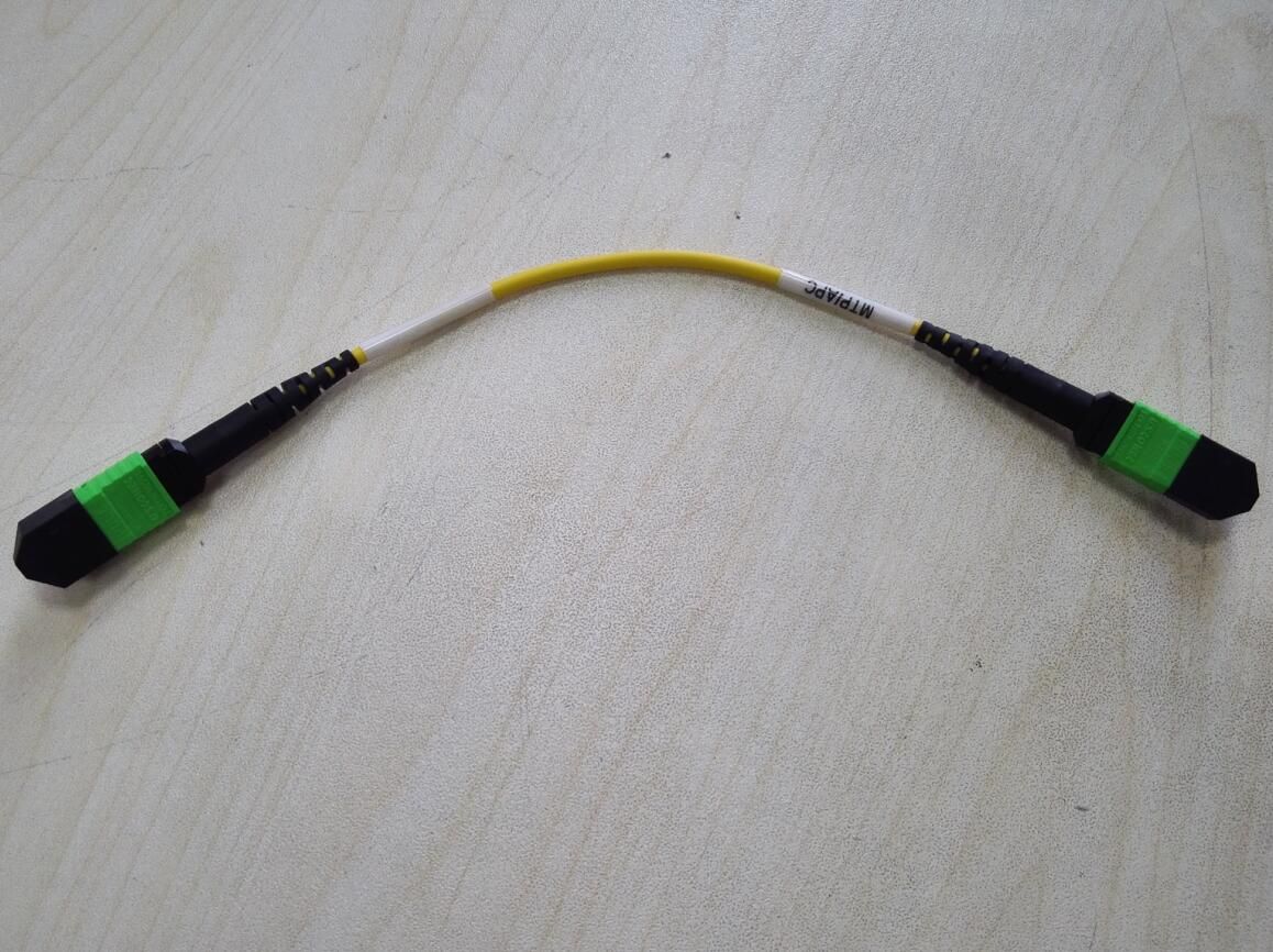 MTP-MTP Fiber Optic Patch-Cord 0.2m