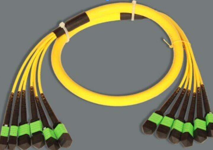 MPO-MPO Singlemode 76cores Trunk Fiber Optical Patch Cord