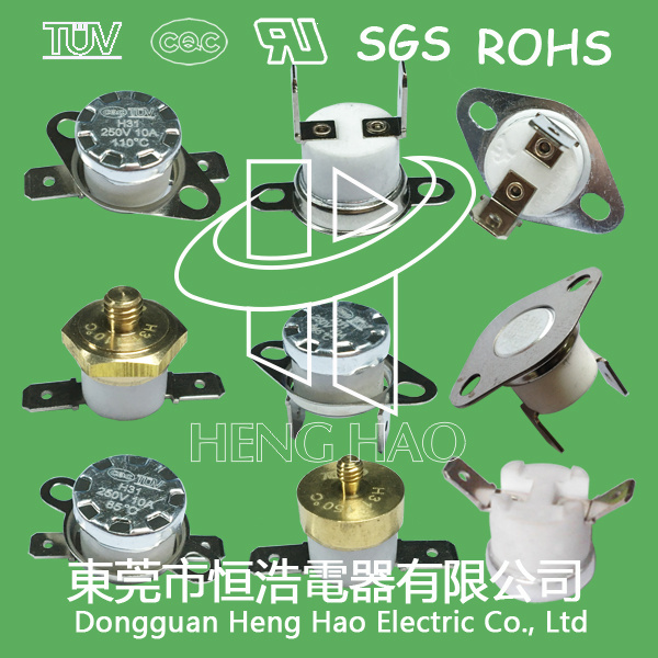 Thermal Limited Switch for Water Dispenser
