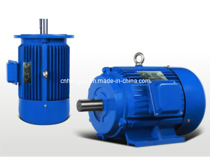 Ye2 Series Cast Iron Three Phase AC Induction Electric Motor