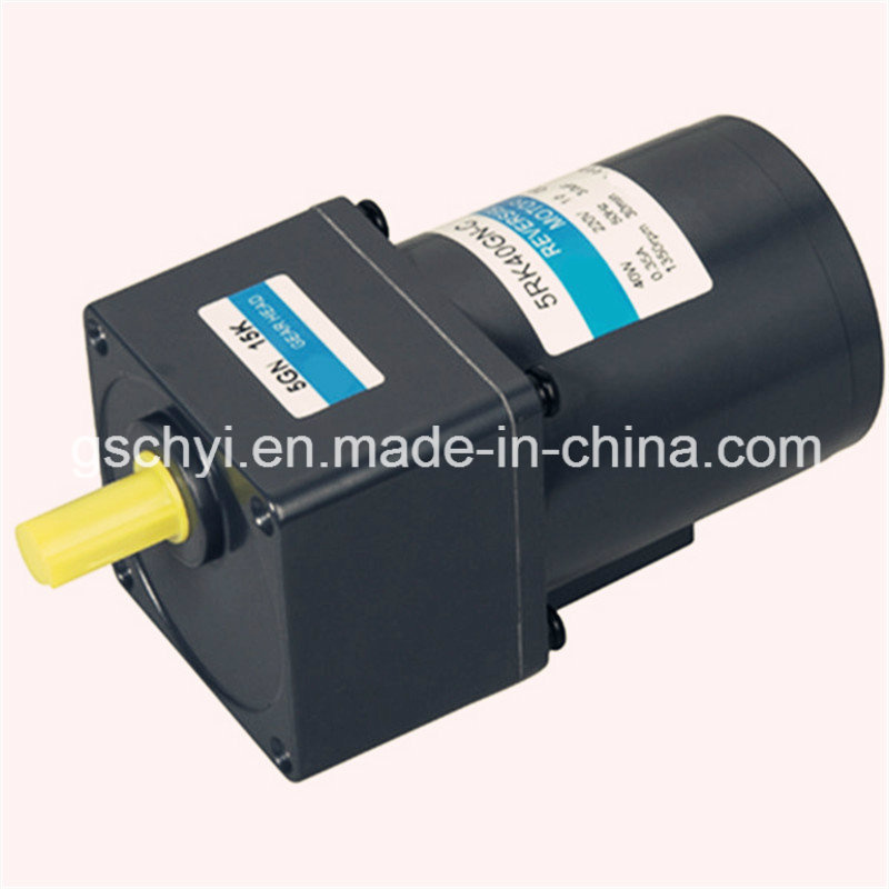 GS 220V AC Reversible 40W 90mm Mirco Gear Motor