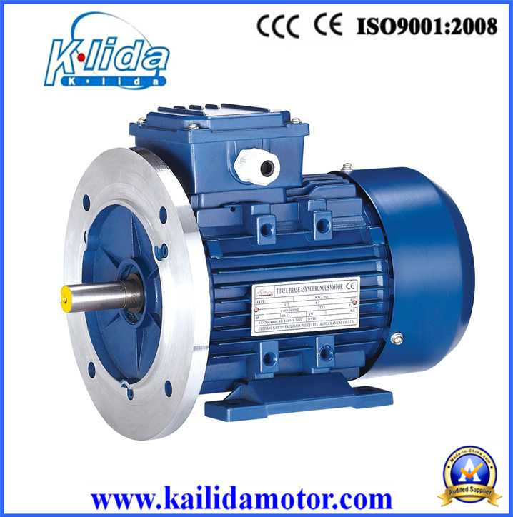 220V 0.25 Kw 2 Pole Electric Water Pump Motor