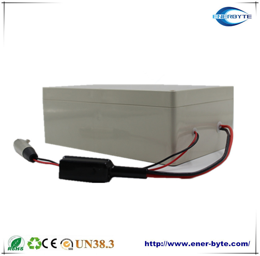 Lithium Battery 24V 10ah for E-Bike/ Low Speed Vehicle /Lsvs/Scooter
