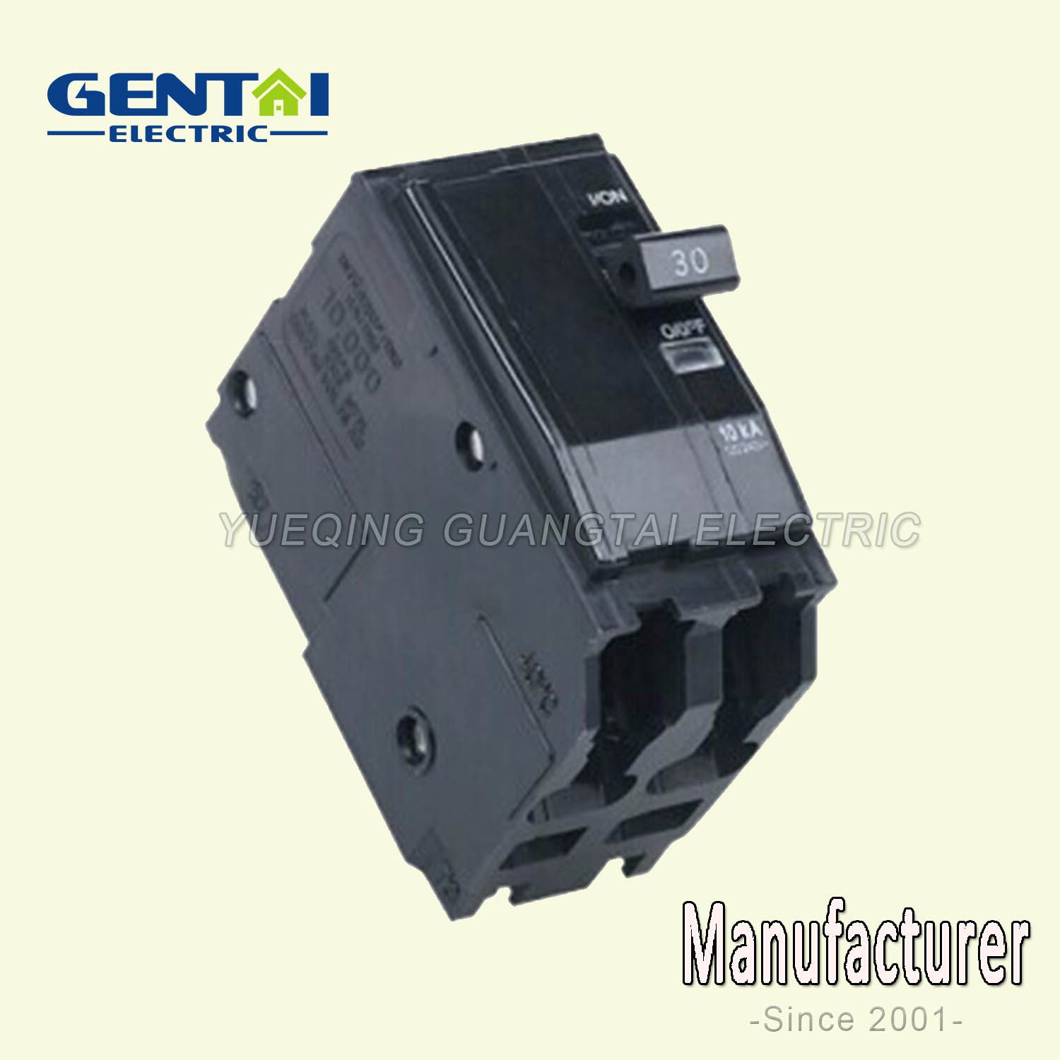 High Quality Cheaper D Type 2 Pole Qo Plug in Circuit Breaker