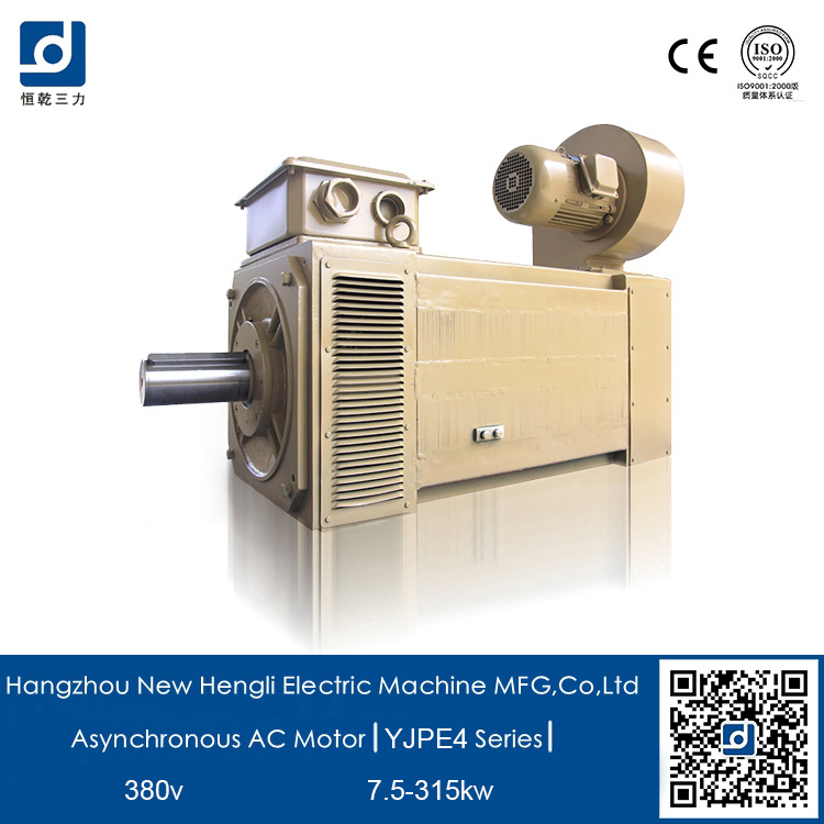 Hengli Three Phase Induction Electric 90kw AC Motor