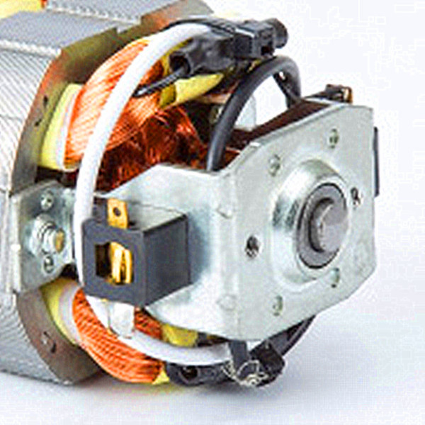 AC Motor for Blender 110V/230V with Ce Approval