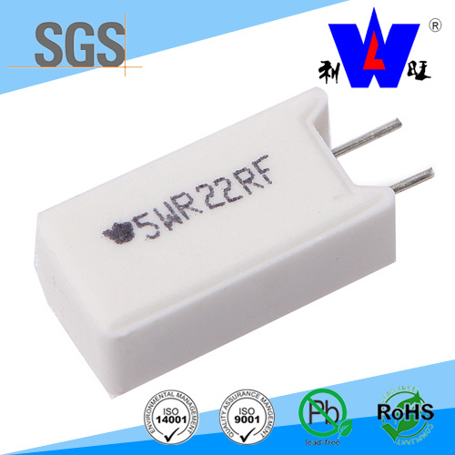 Rgg Ceramic Encased Wirewound Variable Resistor with ISO9001 (RX27-5)