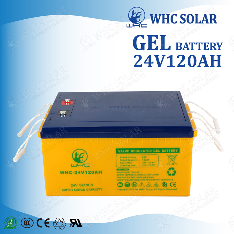 24V Whc Battery Rechargeable Dry Charge Battery