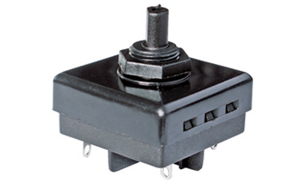 Pbs-5 Roatry Switch for Blender and Juicer