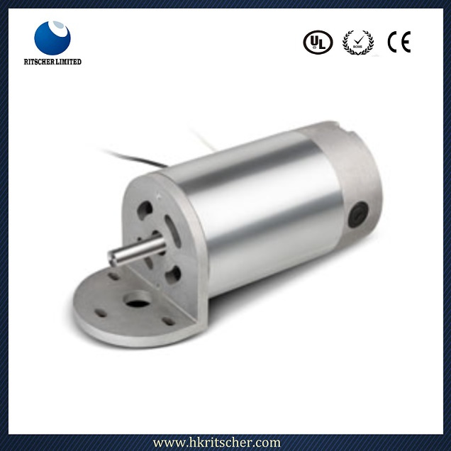 5-300W BLDC Electric Motor for Running Machine/House Application