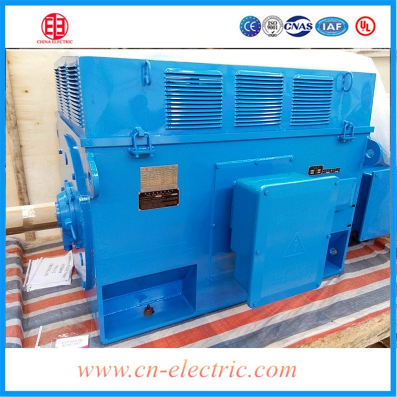 1kv 16kw High Voltage Three Phase Induction AC Motor Price