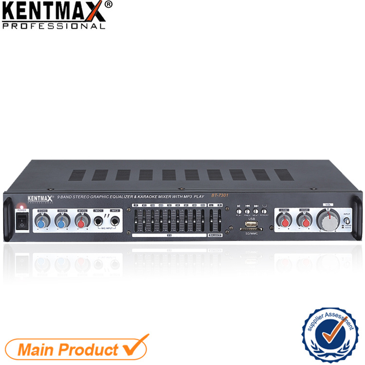 HiFi Bluetooth Digital Amplifier Home Digital AMP