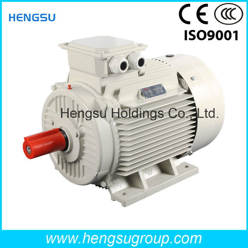 Ye2 18.5kw-2p Cast Iron Three Phase AC Induction Electric Motor