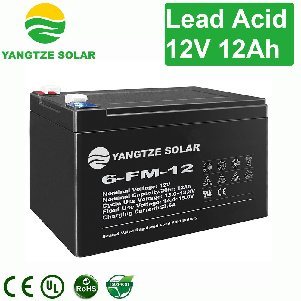Lead Acid VRLA 12ah 12 Volt Battery