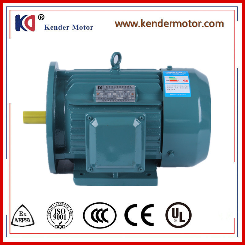 Cast Iron Electric (Electrical) AC Asynchronous Motor with Ce Approved