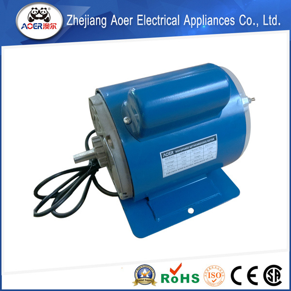 Impeccable Exceptional Unusual Double Shaft Motor