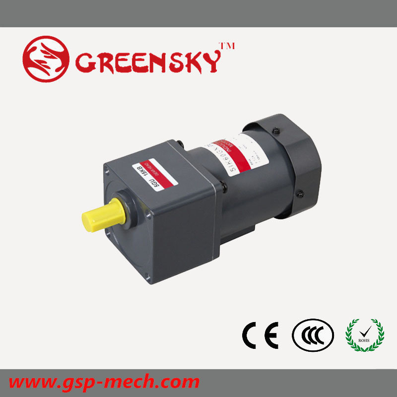 GS High Efficient AC Reversible 60W 90mm Gear Motor