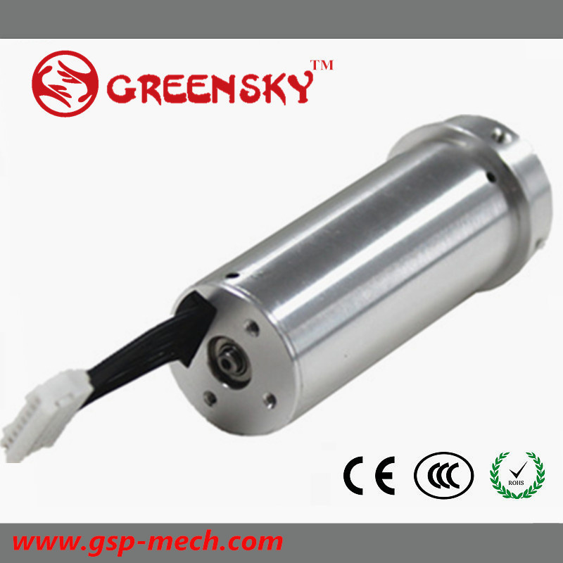 Factory Direct Selling Coreless Brushless Motor, Brushless DC Gear Motor