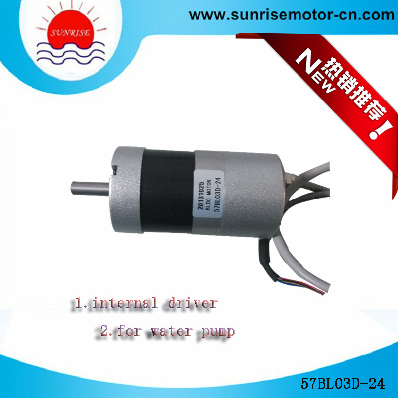 57bl03D-24 Motor Driver Inside BLDC Motor/Electric Motor