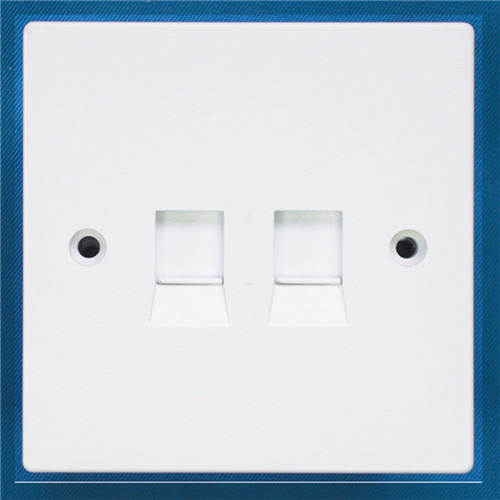 2 Gang Data Socket with 8 Terminal
