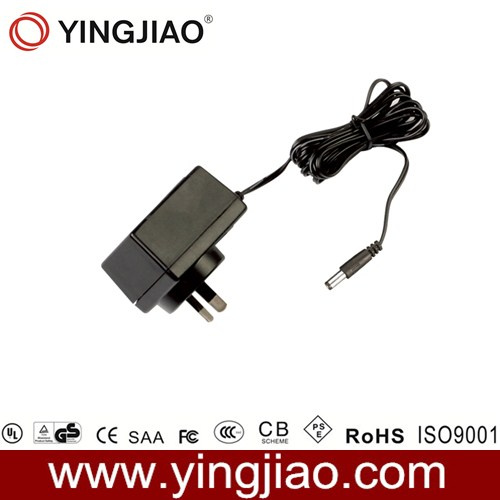3W AC DC Adapter for CATV