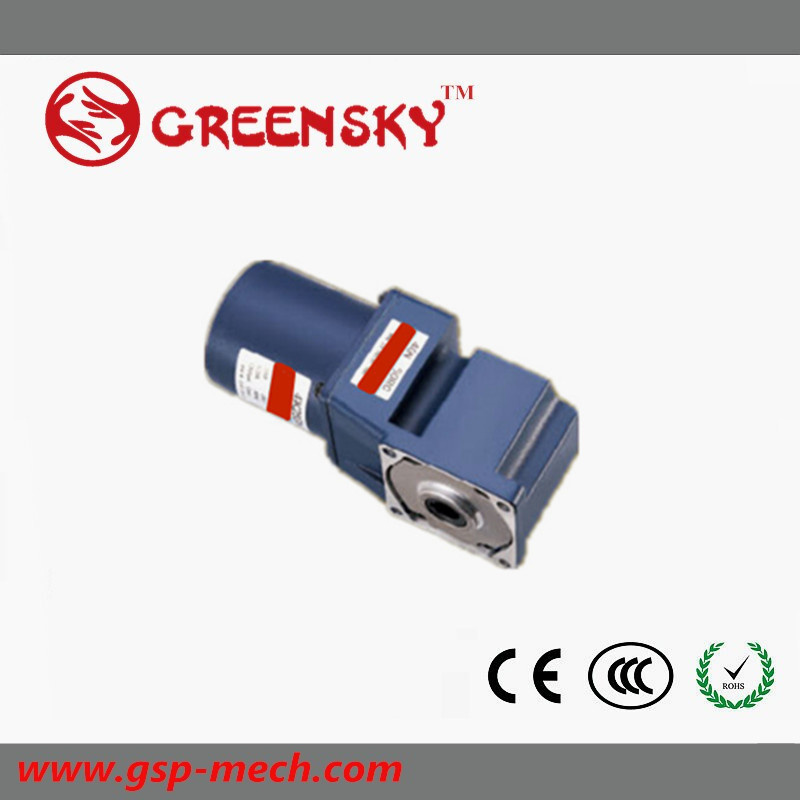GS High Quality 90mm 120W AC Worm Gear Angle Motor