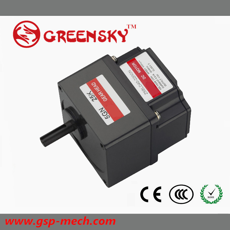 GS 120W 80mm Brushless DC Motor with High Quality