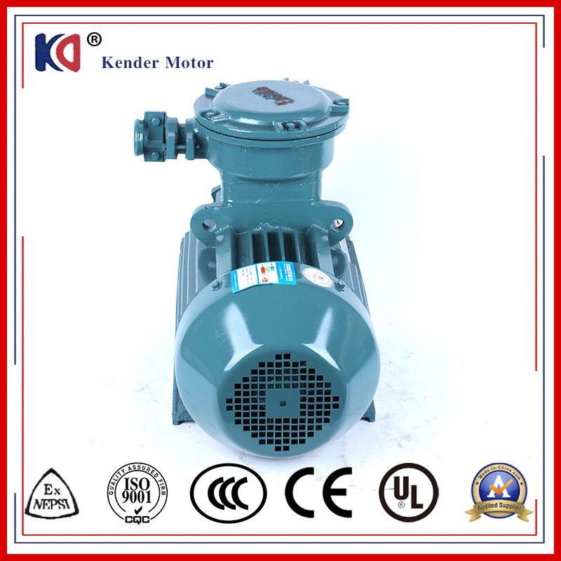 380V Three Phase Explosion-Proof Asynchronous Motor with CE