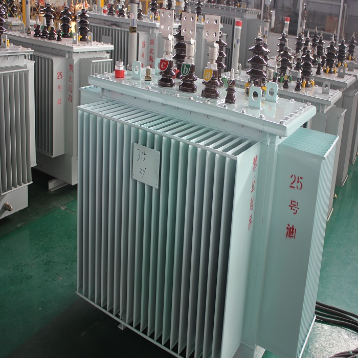 Electrical Equipment Pole Mounted Oil Transformer for Power Distribution