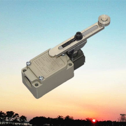 Adjustable General-Purpose Rotary Roller Lever Limit Switches (WLCA12-2-Q)