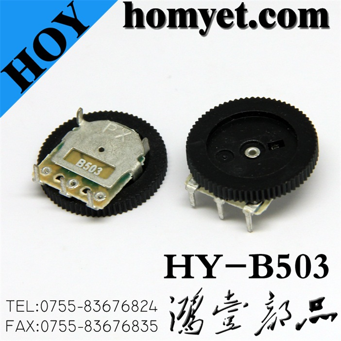 China Manufacturer DIP Switch/Micro Switch (HY-B503)