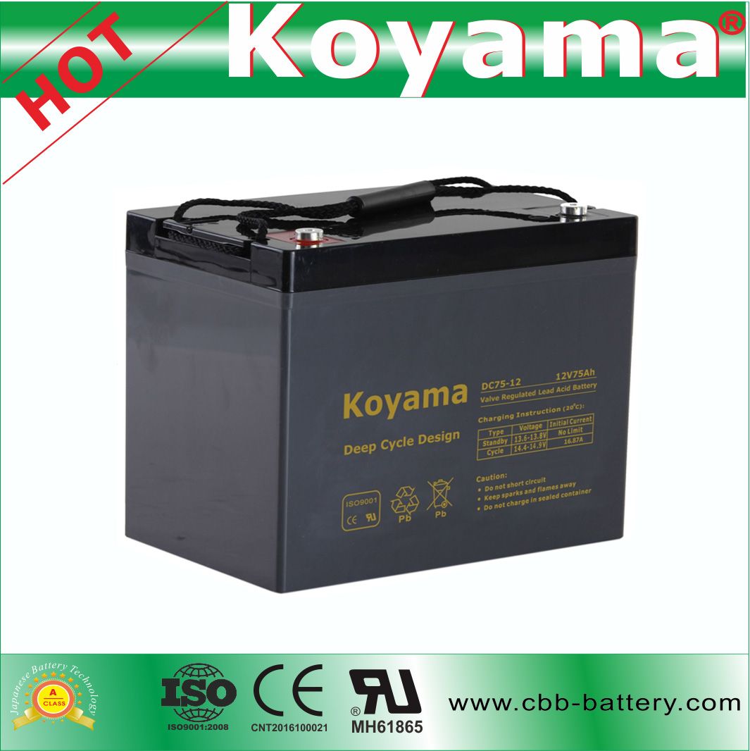 Deep Cycle Battery 12V 75ah for Renewable Energy Systems DC75-12