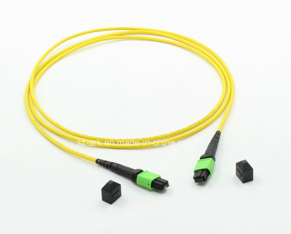 MPO/APC to MPO/APC Fiber Optical Patchcord