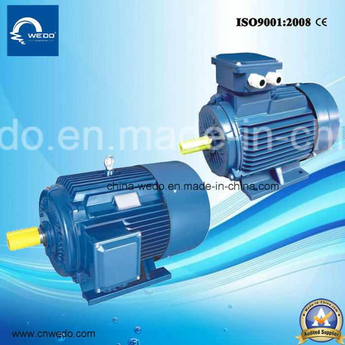 Electrical Motor Cast Iron Three-Phase Asynchronous Induction Motor