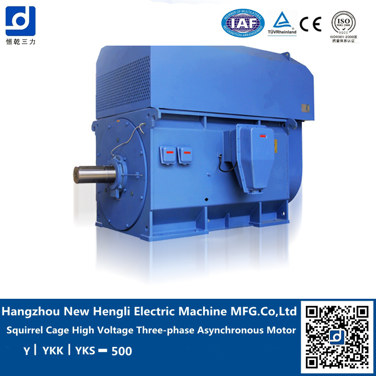 NHL High Torque Electric AC Motor