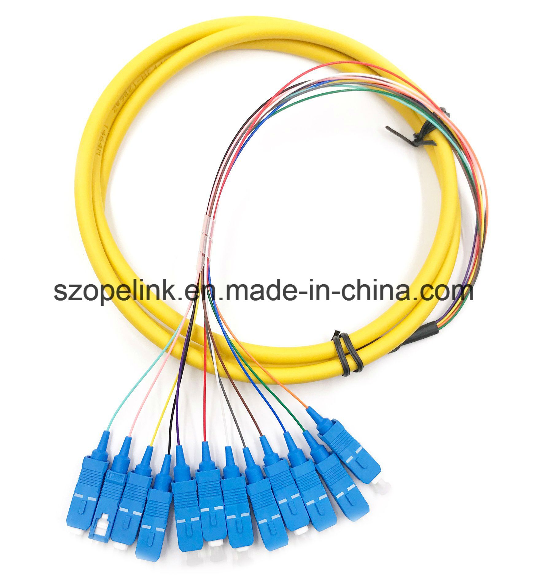Optical Fiber 12 Cores Bound Pigtail for Fiber Optic Data Transmission/Network