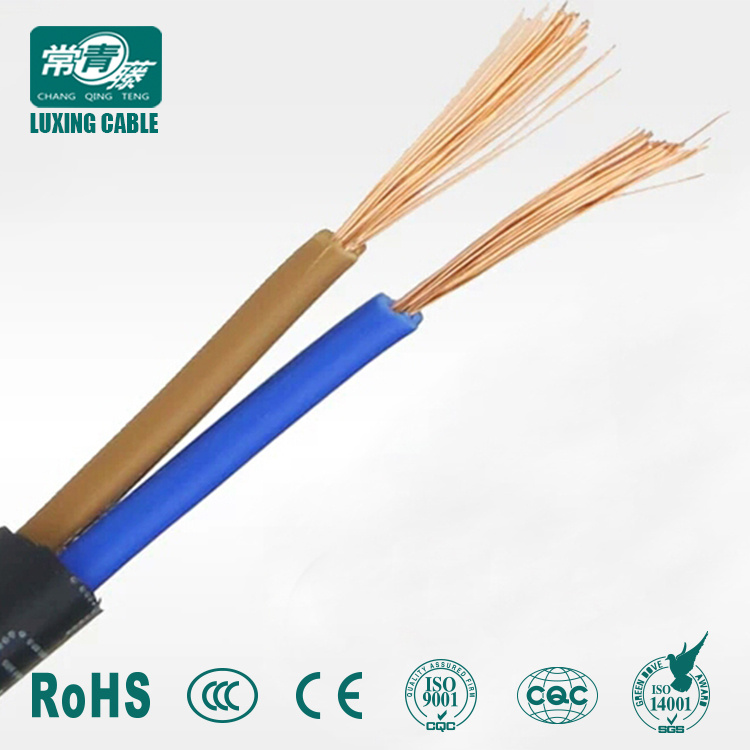 2 Core Electrical Wire of BVV Blvv Rvv Cable V Blv/2 Core 2.5 Sq mm Cable/2 Core Power Cable