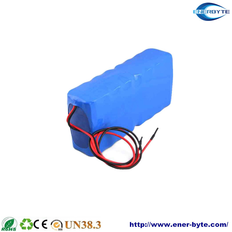 LiFePO4 Battery Pack 48V 10ah