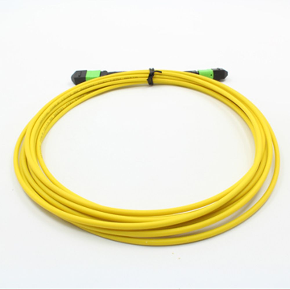 MPO/PC 12cores Fiber Optic Patch-Cord