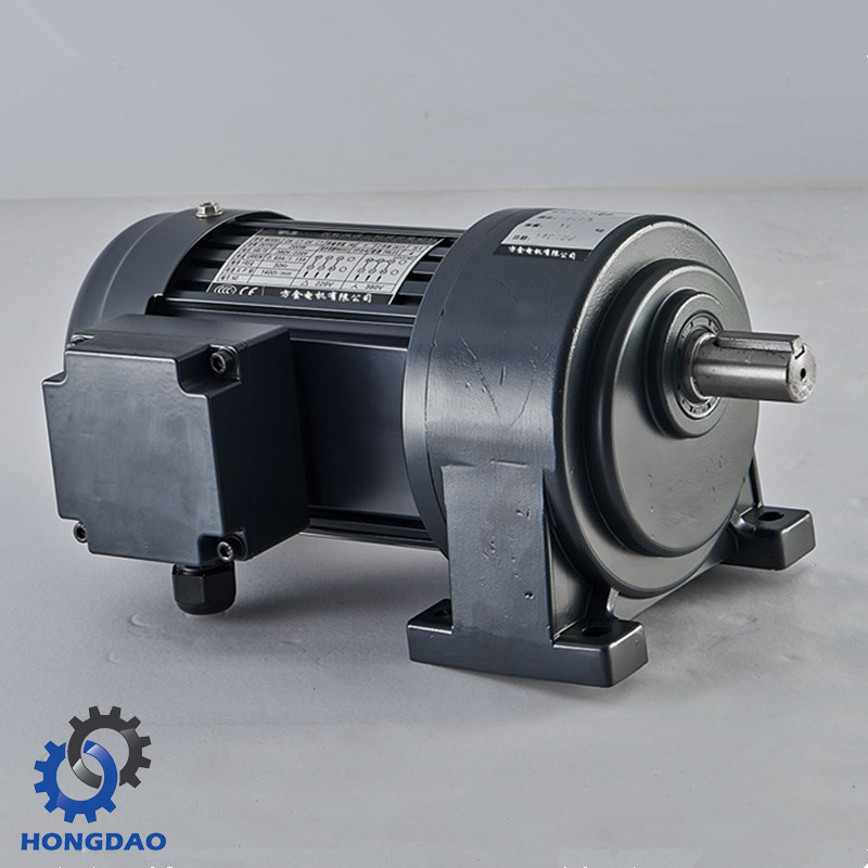 Horizonal Type Single Phase Gear Motor Small AC Motor -E
