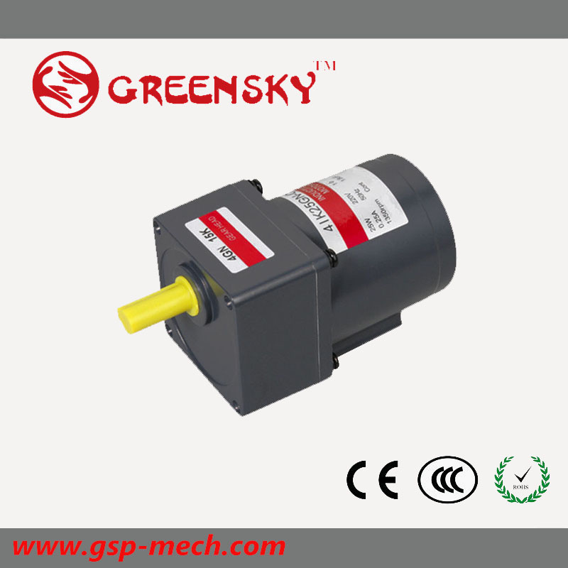 25W Small Electrical Induction AC Motor with Low Price