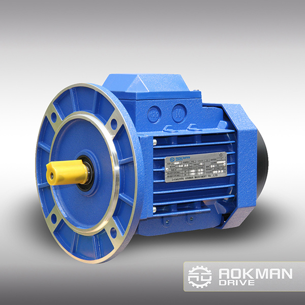 Qualified AC Gear Motor with Competitive Price