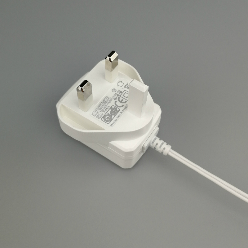 6V 1A 6W British AC DC Power Adapter with Ce BS Approved