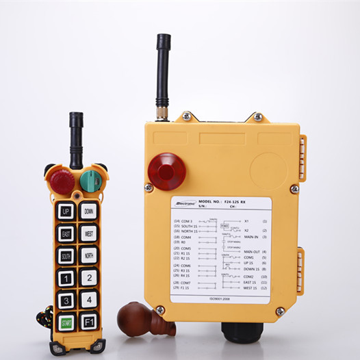 Eot Crane Radio Remote Control (F24-12S)