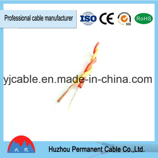 Rvs Twisted Cable Flexible Cable Wiring in High Quality