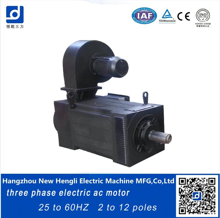 Speed Frequency Variable AC High Torque 425kw Electric Motor