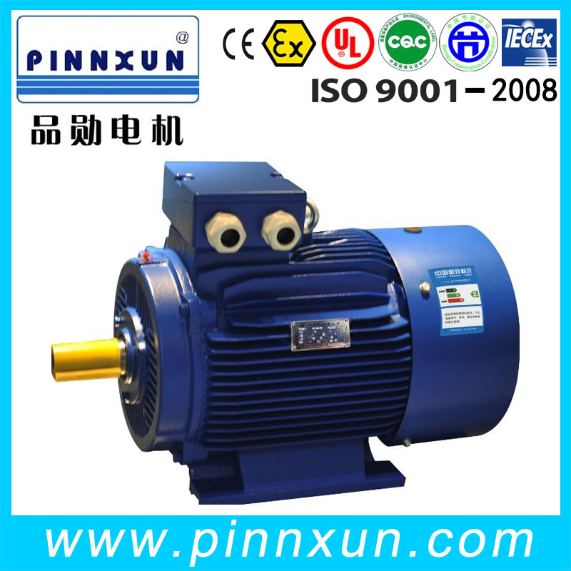 Y2 Series Low Voltage AC Motor