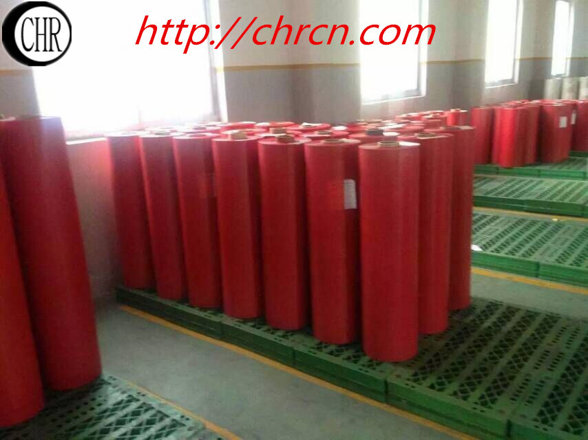 Pre-Extracted F-Class DMD Insution Paper